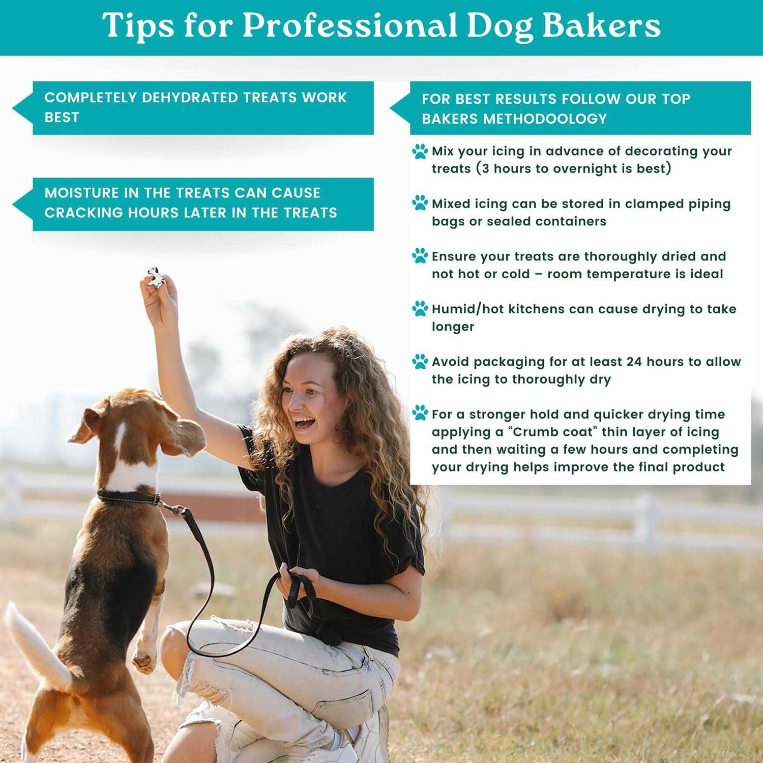 K9Cakery Magifrost Icing for Dog Treats Create Vibrantly and Dog-Safe Delights - Pet Supplies online store