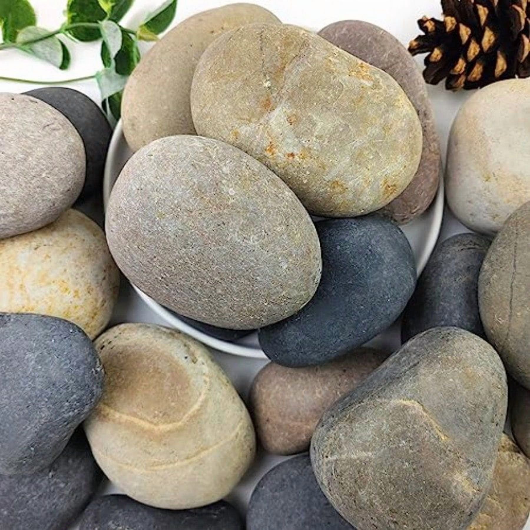 40lbs Natural River Rocks 3-4 Premium Pebbles for Garden and Landscape Design Hand-Picked Smooth Stones for Fish Tank Flower Pots Indoor Water Fountains Pathways Backyard