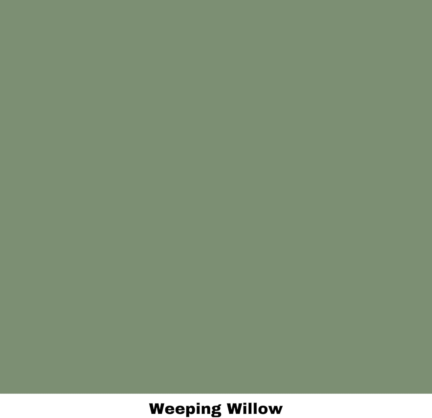 Dixie Belle Paint Company Chalk Finish Furniture Paint | Weeping Willow (4oz) | Matte Soft Green Chic Chalk Mineral Paint | DIY Furniture Paint | Made in the USA