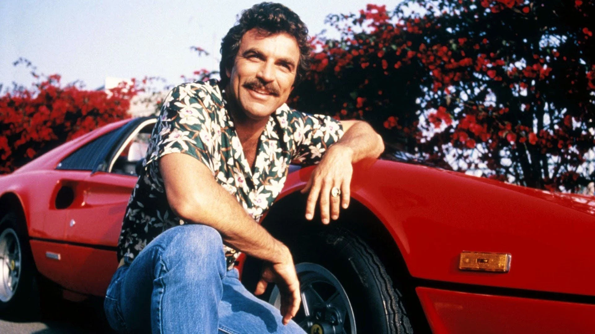 Magnum P.I.: the Complete Series - Seasons 1-8 (DVD) (Universal Television)