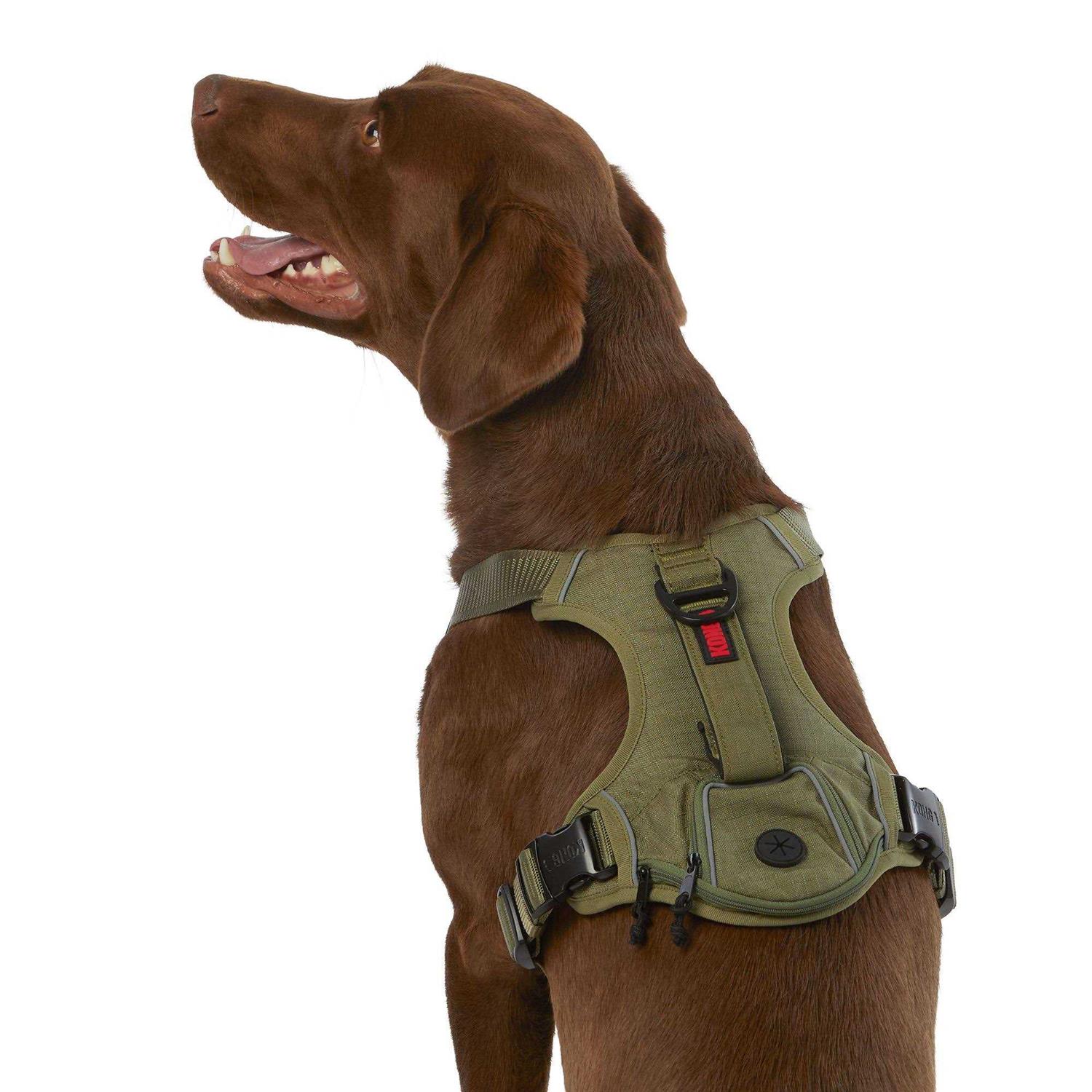 KONG Ultra Durable Waste Bag Harness - Pet Supplies online store