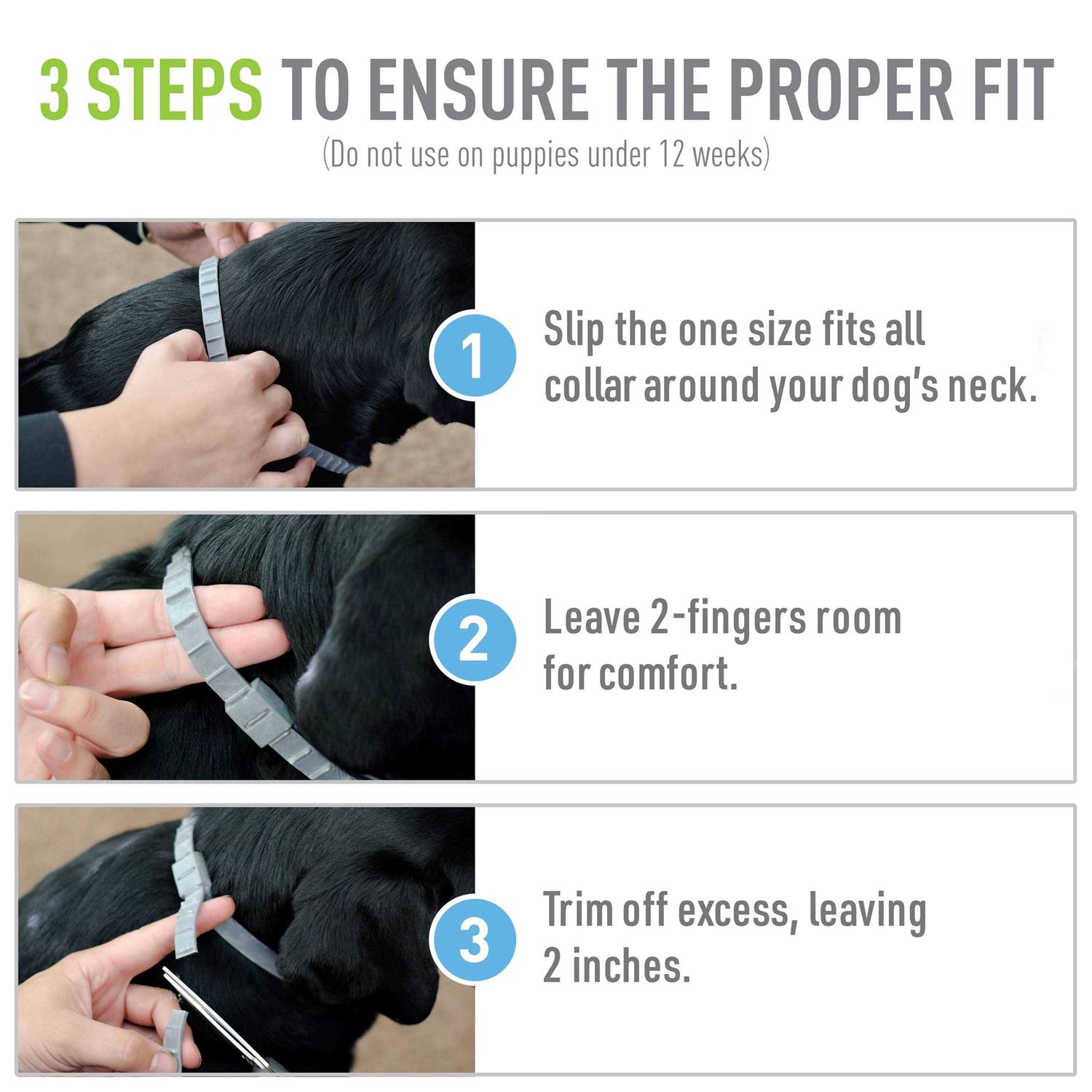 Adams Flea Tick Collar Plus for Dogs Puppies - Pet Supplies online store