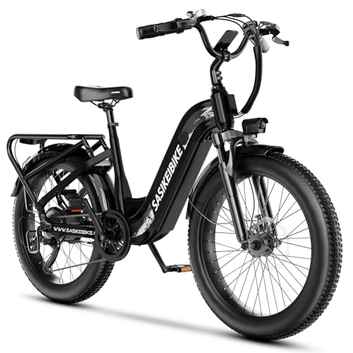 1500W Motor Peak Electric Bike for Adults and Teenagers, 48V 20AH Removable Battery Step Thru EBike, 30+MPH, 80 Miles Max Range, 24
