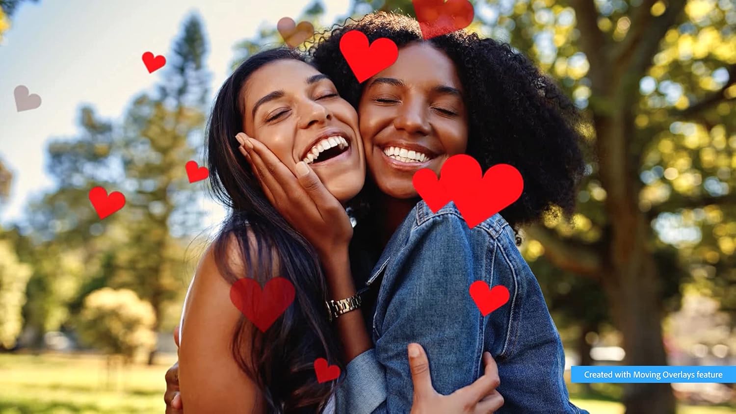 Adobe | Bundle - Photoshop Elements 2022 & Premiere Elements 2022 Student & Teacher Edition | PC Code | Software Download | Photo Editing | Video Editing Pack of 2