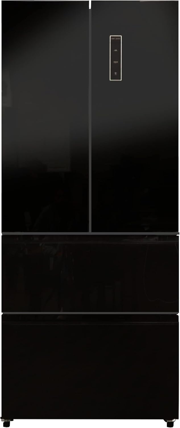 Everchill RV Refrigerator, 110V Fridge, 16.2 CU FT Capacity, 30 Inch Width, Frost Free, French Doors, Black with Glass Front