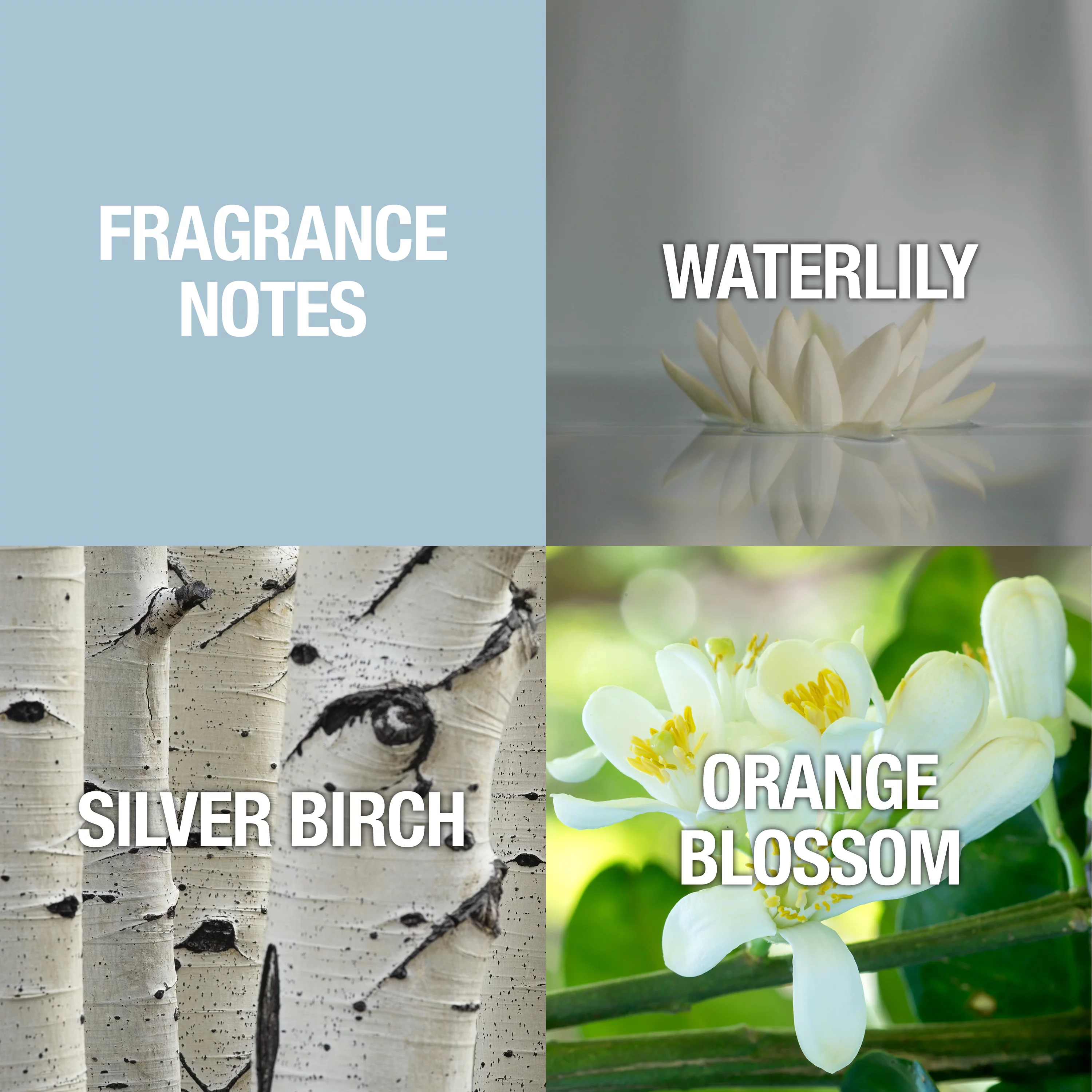 Alfred Sung SHI Eau De Parfum Spray for Women 3.4 oz