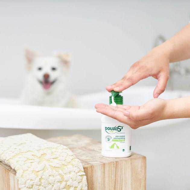 Douxo S3 SEB Shampoo - Pet Supplies online store