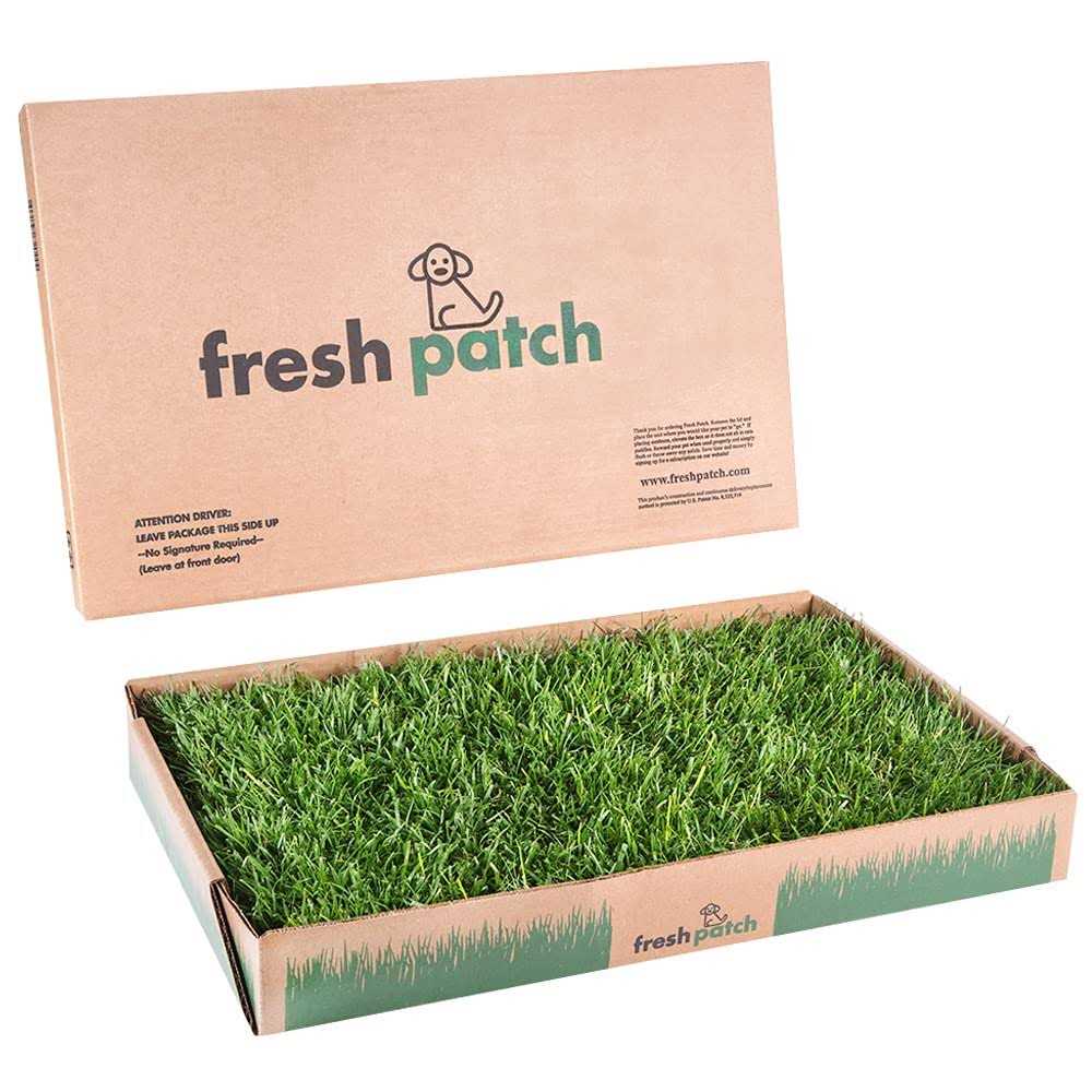Fresh Patch Large Real Grass Pee and Potty Training Pad for Dogs between 15 and 30 pounds - Pet Supplies online store