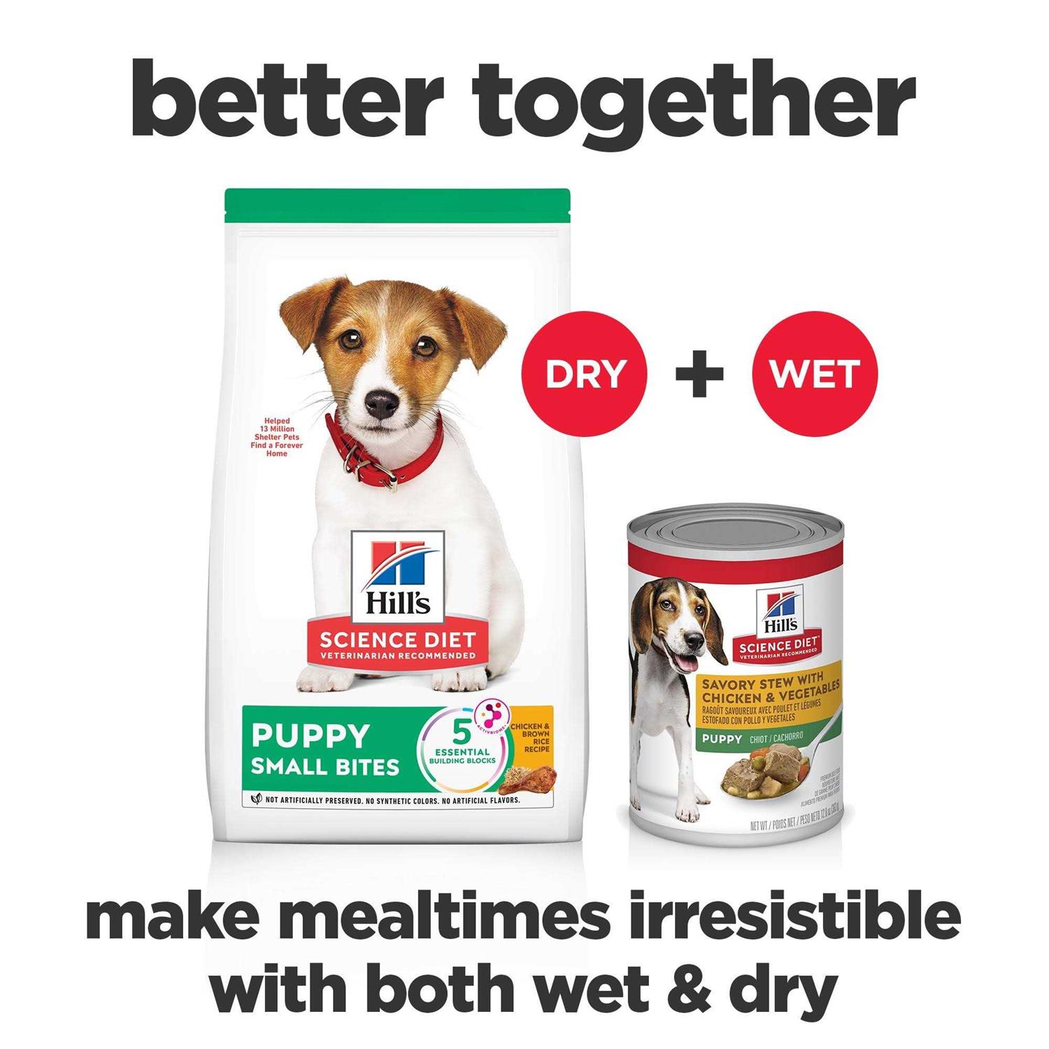 Hill's Science Diet Puppy Small Bites Chicken Recipe Dry Dog Food - Pet Supplies online store