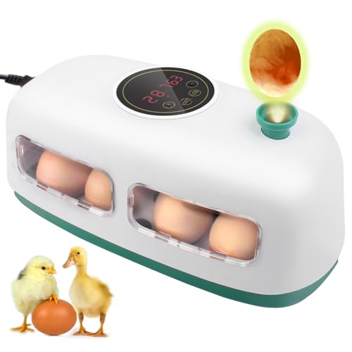 Egg incubators for Hatching Eggs, Automatic Egg Turning 12-24 Poultry Incubator with Temperature Control,Automatic Water Adding,℉ Display,360° View for Hatching Chickens, Duck,Quail,Goose Eggs (M12)
