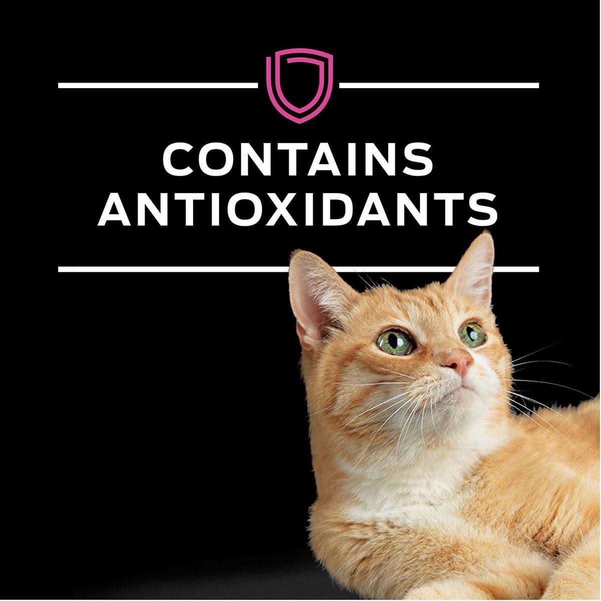 Purina Pro Plan Veterinary Diets UR Urinary St/Ox Savory Selects Feline Formula Recipe in Sauce Wet Cat Food - Pet Supplies online store