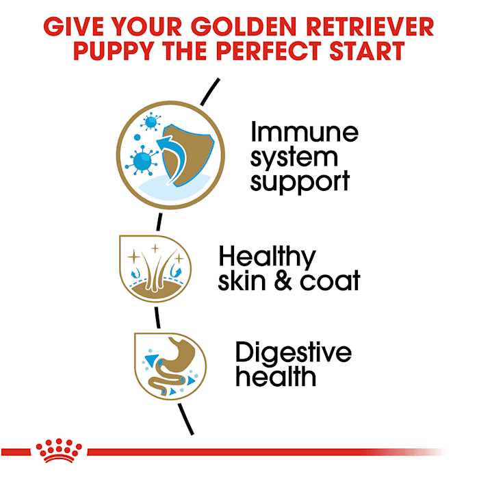 Royal Canin Golden Retriever Puppy Dry Dog Food - Pet Supplies online store