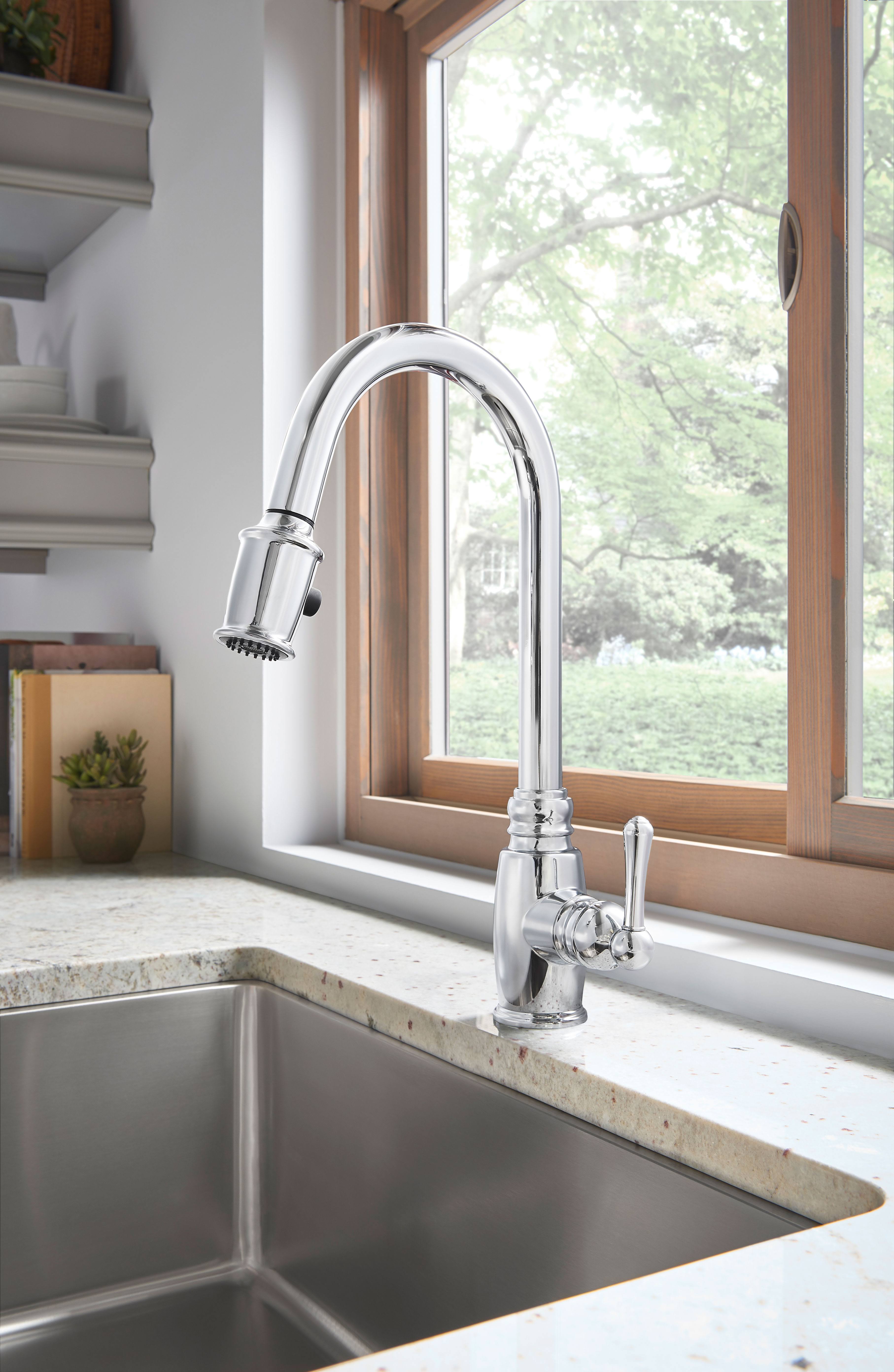 Danze D455557 Opulence Single Handle Pull-Down Kitchen Faucet Chrome