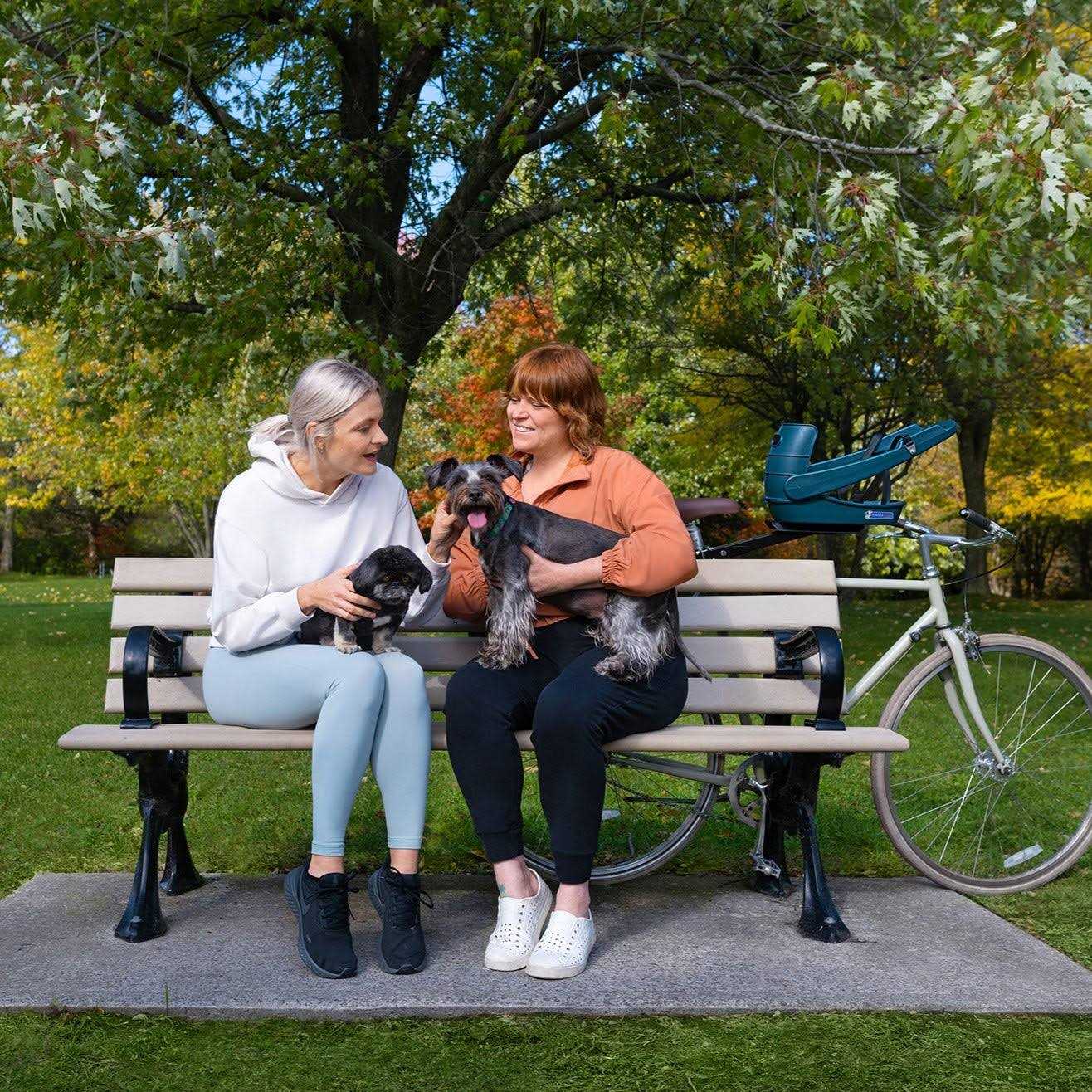 Buddyrider Dog Bicycle Seat Safety Dog Bike Seat For Dogs Up To 25 lbs - Pet Supplies online store