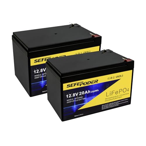 12V 20Ah Lithium LiFePO4 Deep Cycle Battery 2 Pack, 4000+ Cycles Rechargeable Battery for Electric Scooter, Ride On Toy, Lighting, Power Wheels, Fish Finder and More with Built-in 40A BMS
