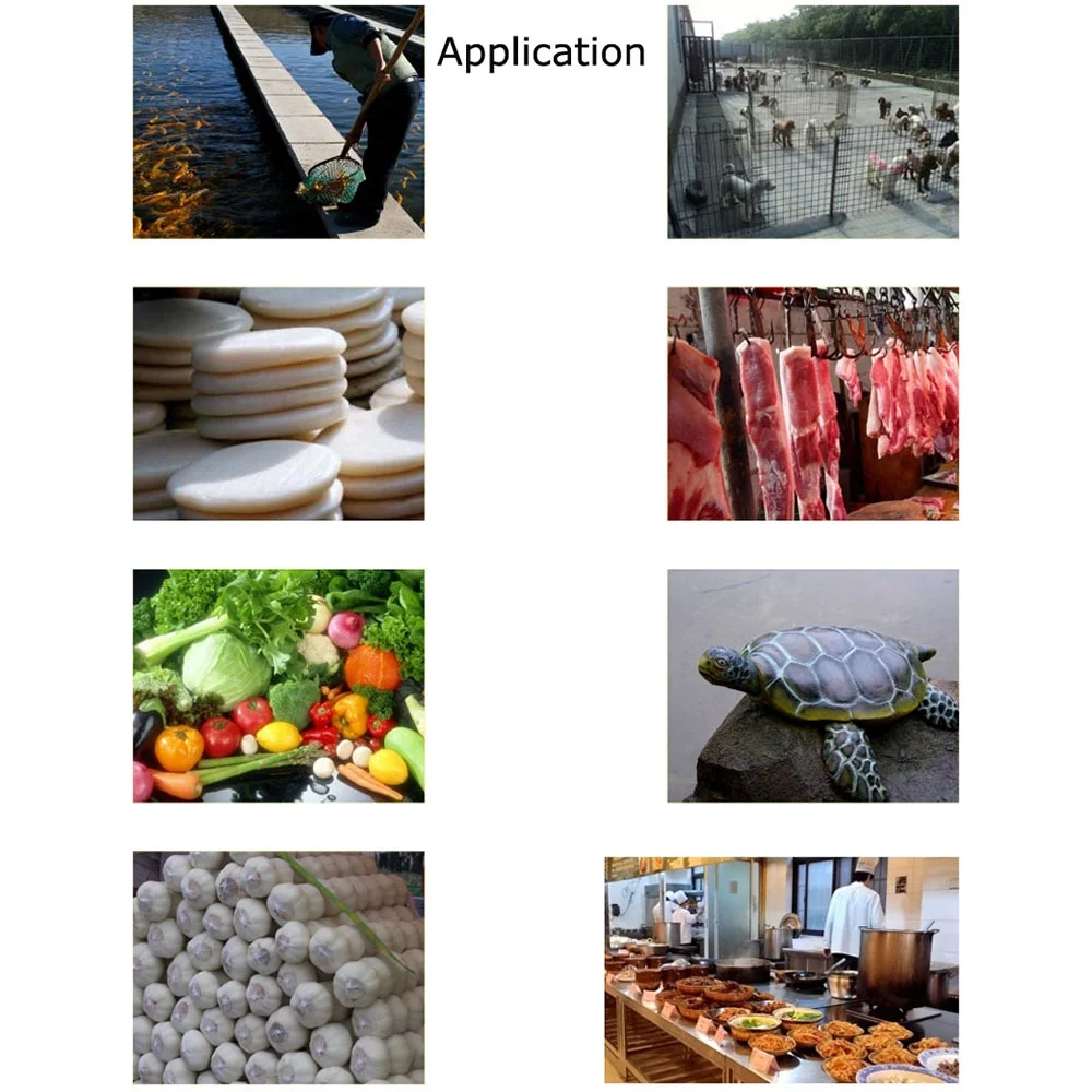 INTBUYING Electric Bone Crusher Meat Fish Chicken Bones Grinder Crusher Mincer Feed Processer 220V 2.2KW