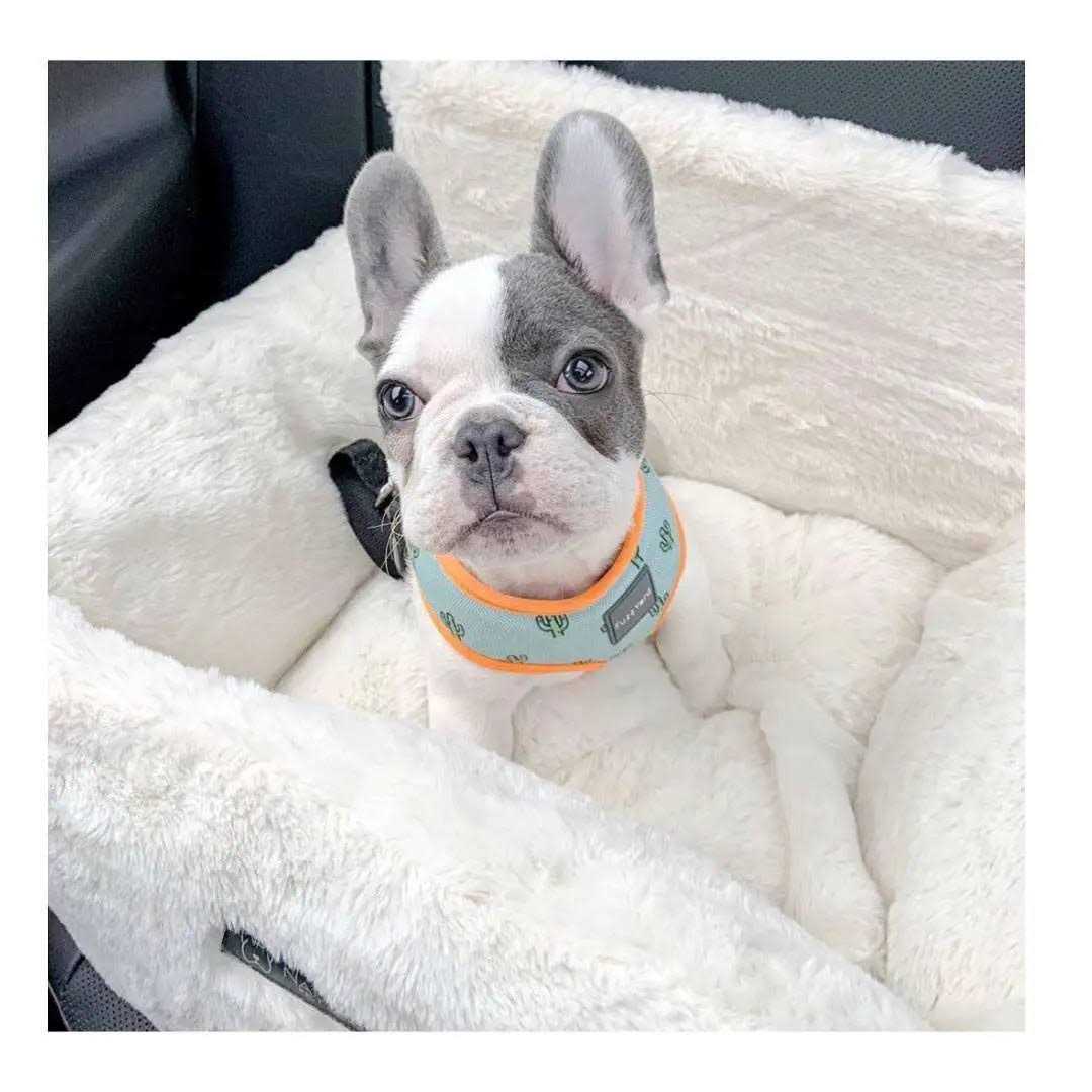 Nandog Pet Gear Ivory Cloud Collection Dog Car Seat Bed - Pet Supplies online store