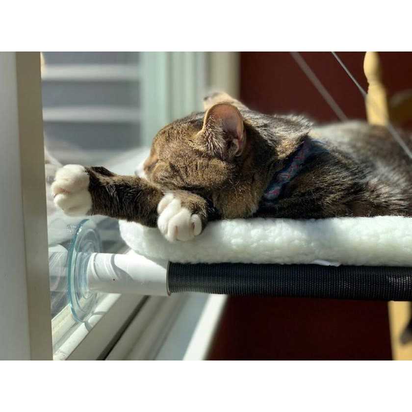 Kitty Cot Original World's Best Cat Perch - Pet Supplies online store