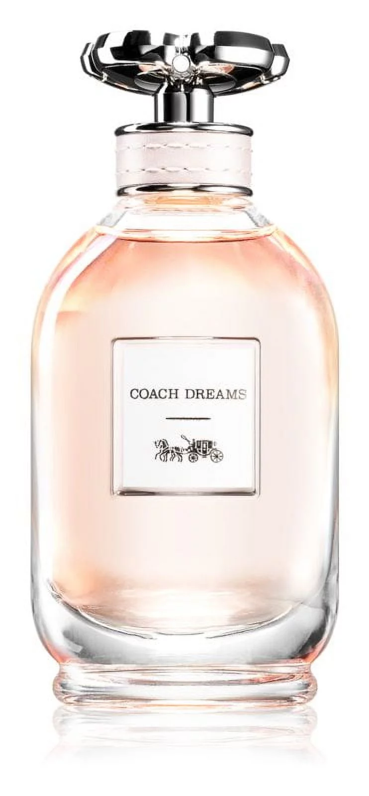 Coach Dreams by Coach for Women Eau De Parfum 3 Oz. *EN