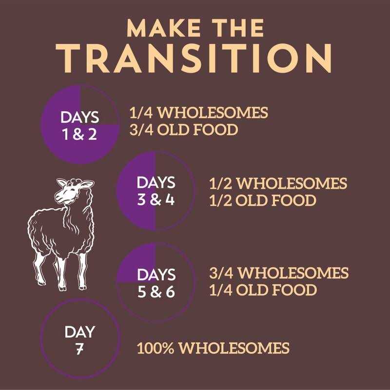 Sportmix Wholesomes Lamb Meal & Rice Formula Dry Dog Food - Pet Supplies online store