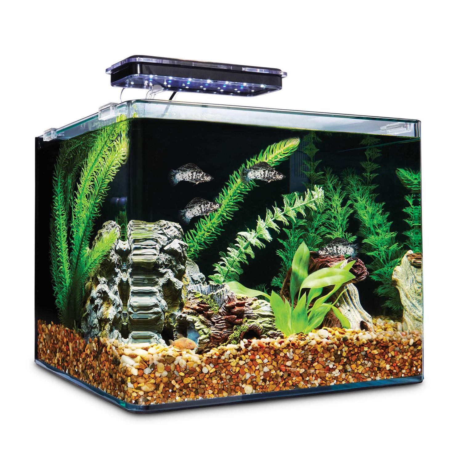 Imagitarium Frameless Freshwater Aquarium Kit - Pet Supplies online store