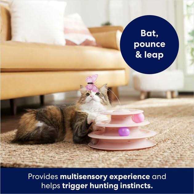 Frisco Butterfly Cat Tracks Cat Toy - Pet Supplies online store