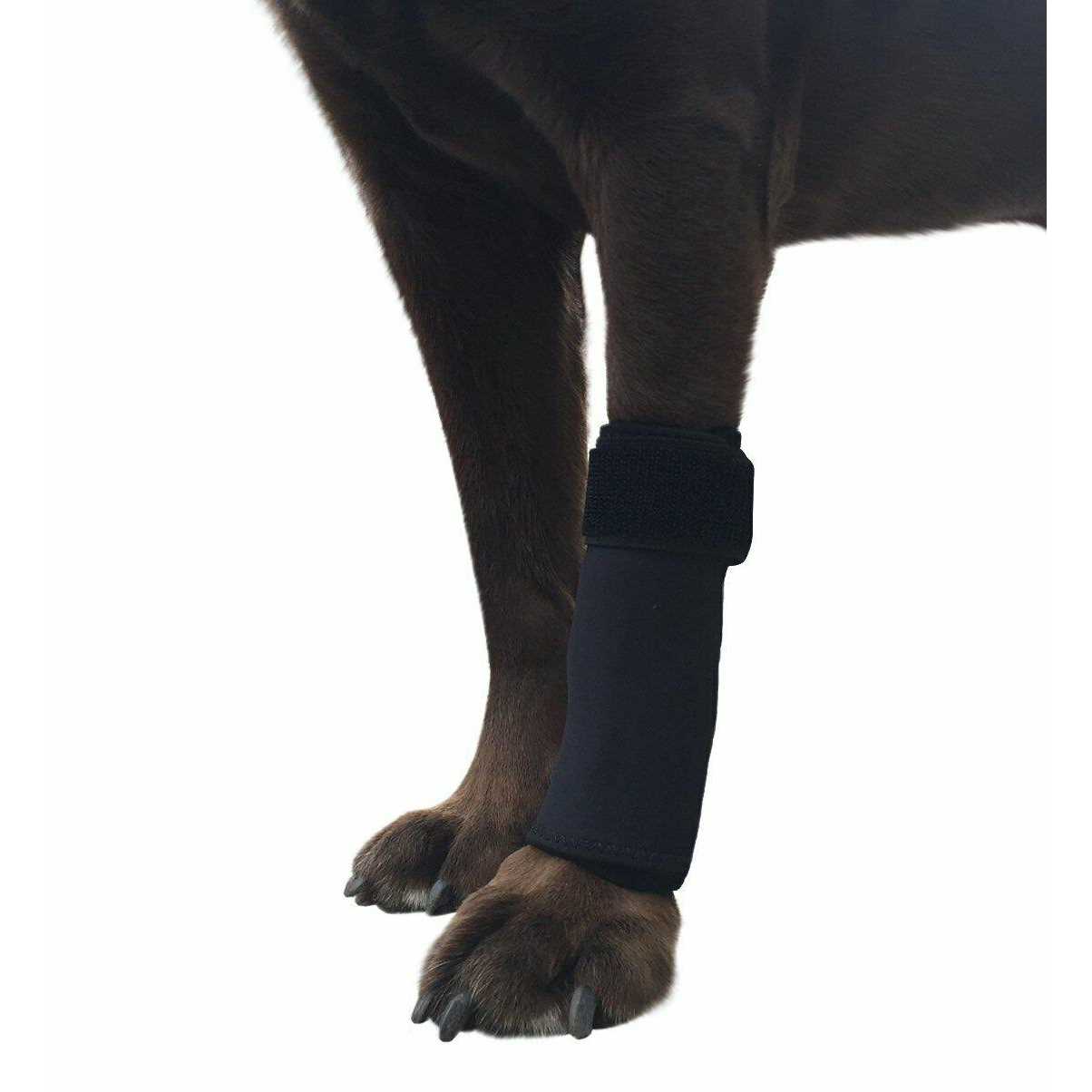 Labra Co. Dog Canine Front Leg Compression Brace Wrap Sleeve Protects Wounds Brace Heals and Prevents Injuries and Sprains Helps with Loss of - Pet Supplies online store