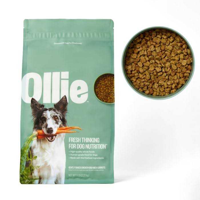 Ollie Baked Chicken Dish with Carrots Dry Dog Food - Pet Supplies online store