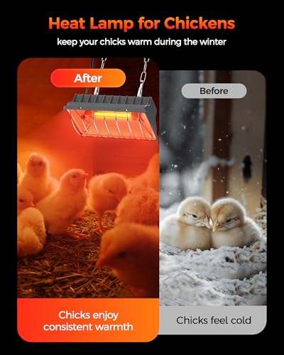 Heat Lamp for Chicken Coop, 250W Waterproof Chicken Coop Heater for Indoor & Outdoor Used, Infrared Heat Lamp with Adjustable Temp & Height, Ideal for Poultry, Livestock & Small Pets