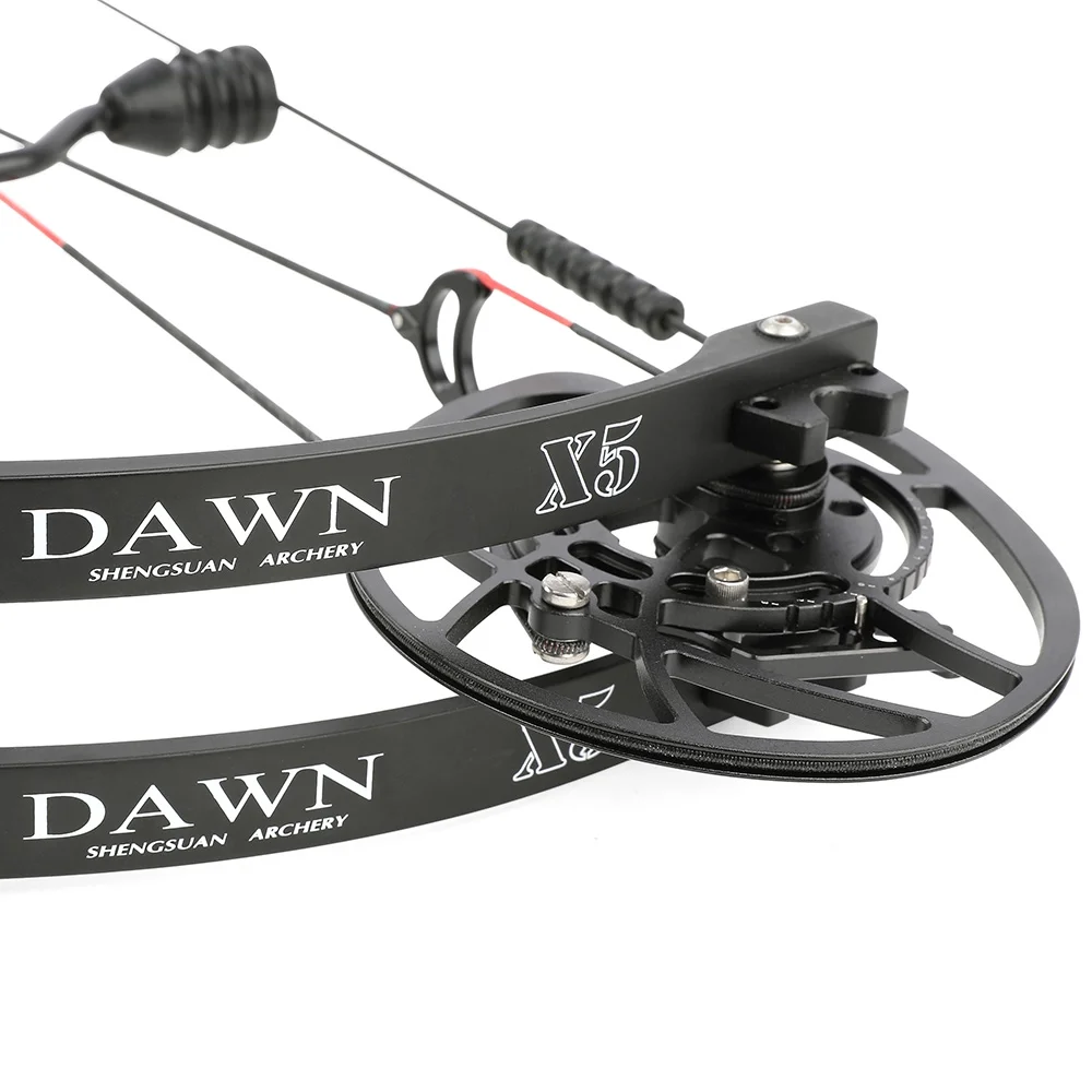 AME 29 Inch Carbon Fiber Compound Bow 0-70lbs Adjustable 345FPS Adult Hunting Target Archery
