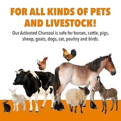 1qt VetDtox Activated Charcoal Powder for Pets & Livestock for poisonings - Pet Supplies online store
