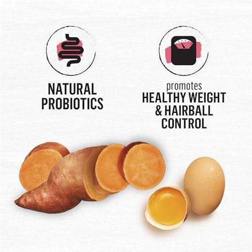 Purina Beyond Grain Free Natural Dry Cat Food Simply Indoor Salmon - Pet Supplies online store