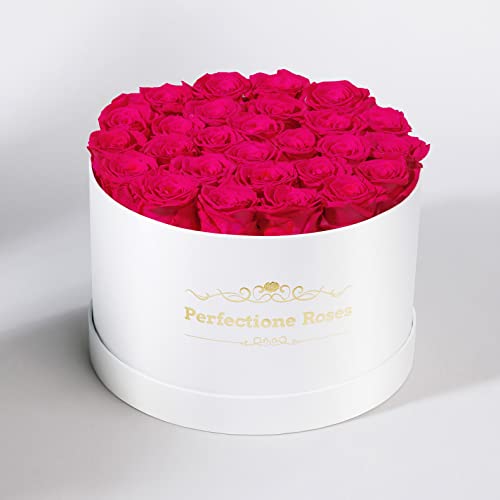Perfectione Roses Forever Real Roses in a Box, Preserved Rose That Last Up to 3 Years, Flowers for Delivery Prime Birthday Valentines Day Gifts for Her, Mothers Day Flower (Dusty Rose)