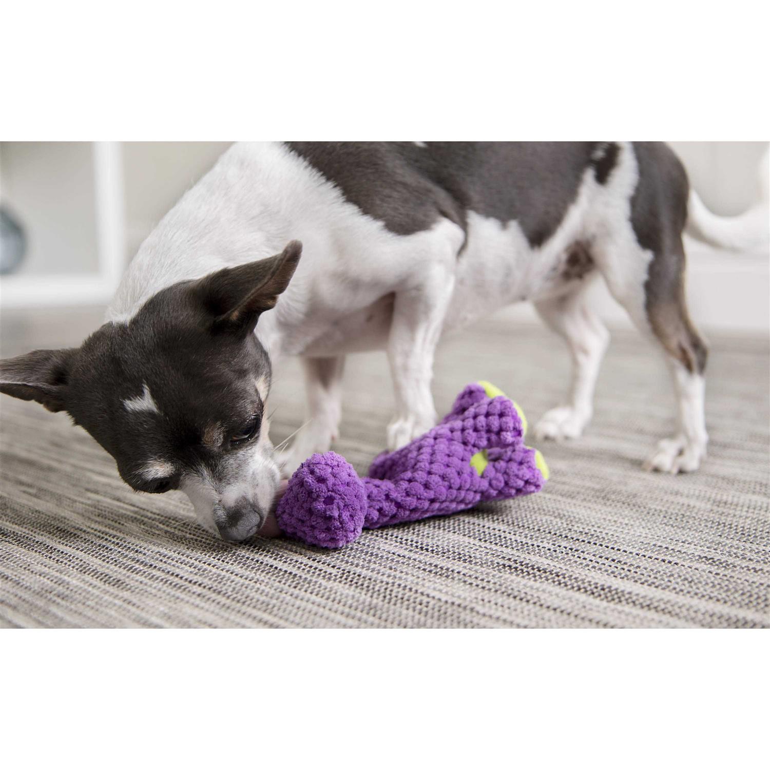 goDog Checkers Just For Me Dinos Bruto Squeaky Plush Dog Toy - Pet Supplies online store