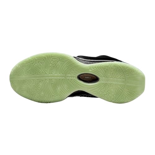 Nike Lebron XXI Mens Shoes