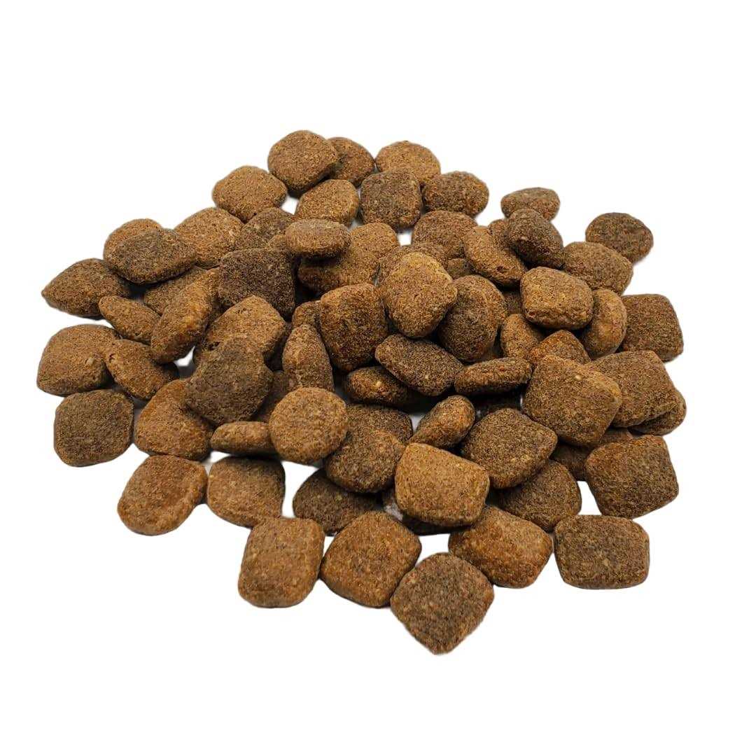 Rawz Meal Free Chicken & Turkey Dry Dog Food - Pet Supplies online store