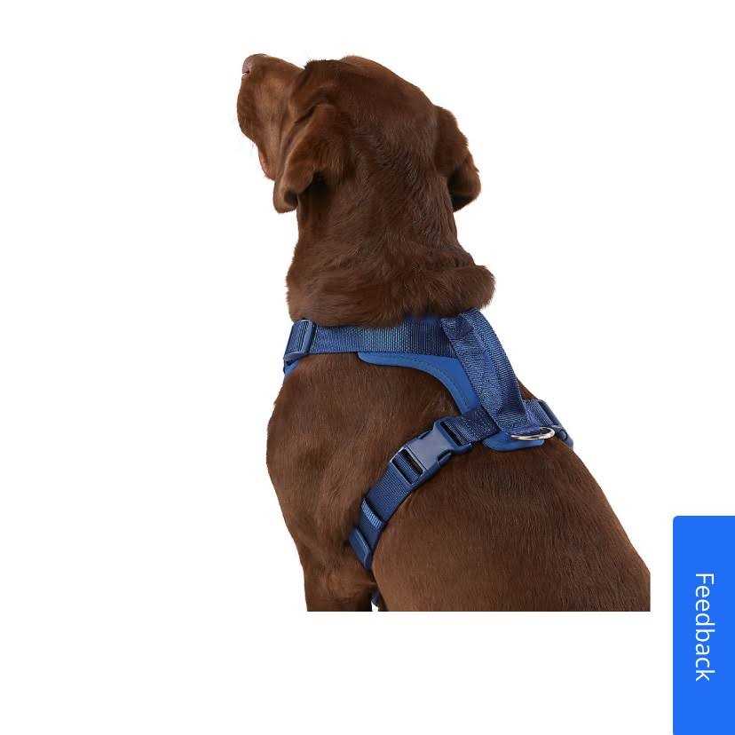 Top Paw Neoprene Comfort Dog Harness - Pet Supplies online store