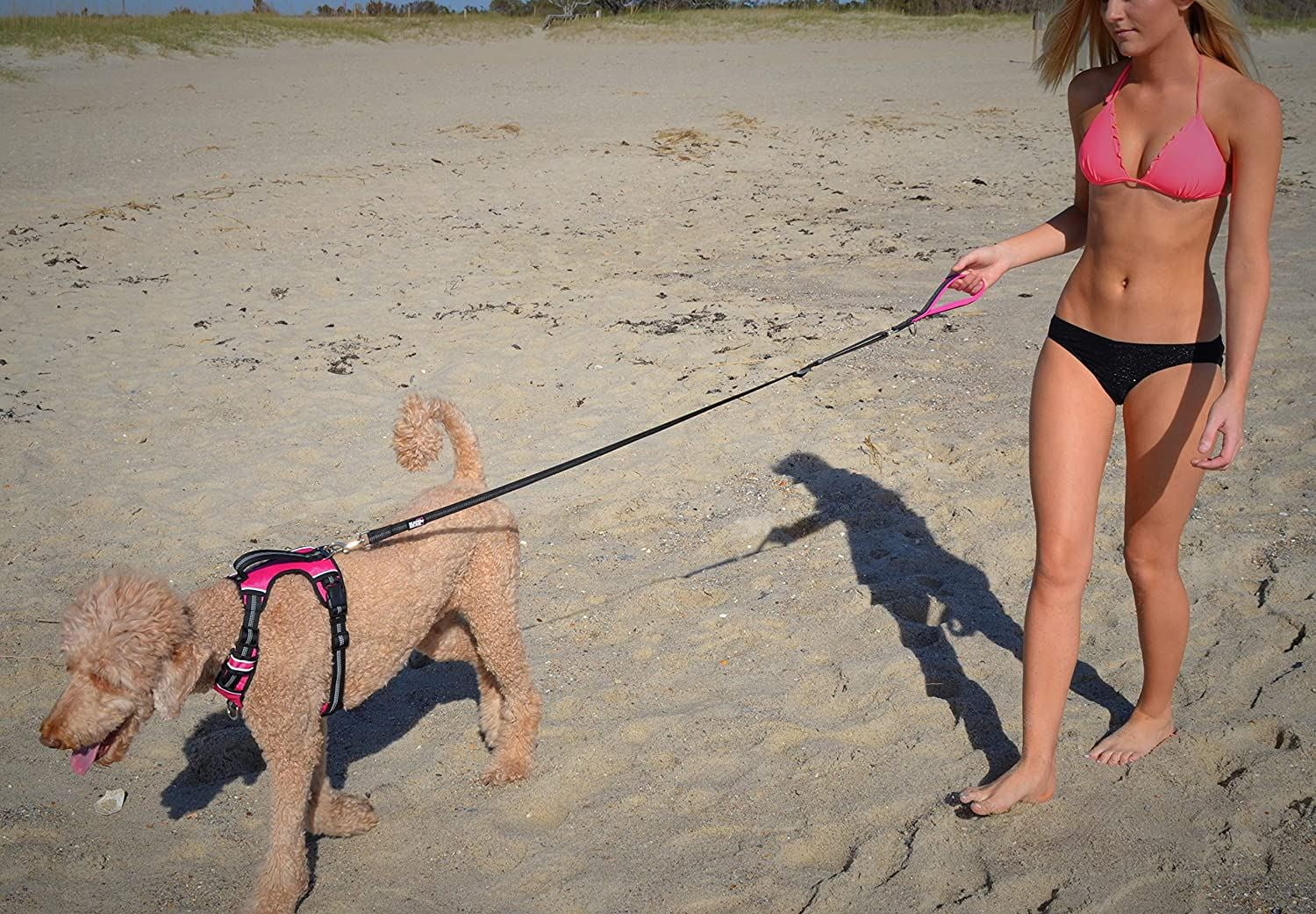 BLACK RHINO Training Dog Leash with Padded Handle Adjustable (Pink/Black)