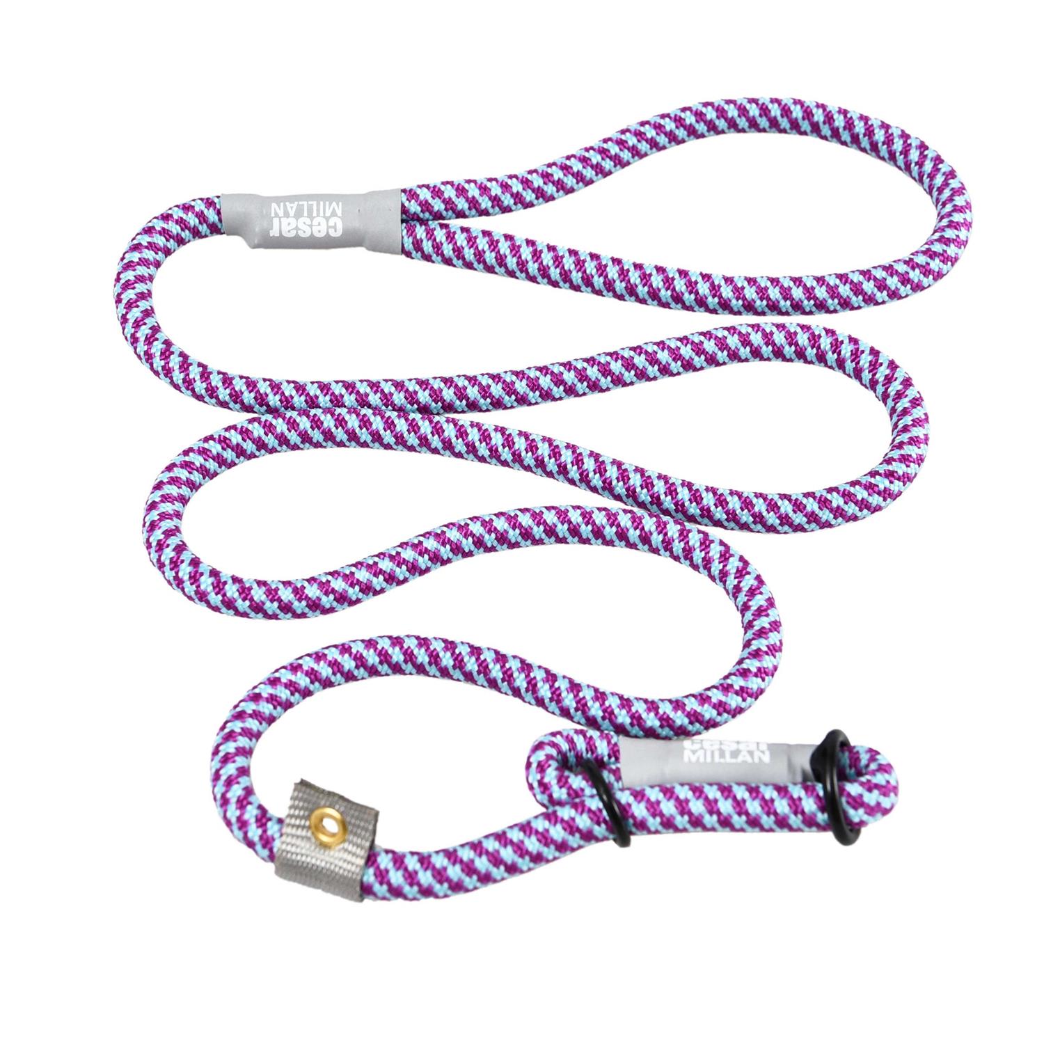 Cesar Millan Slip Lead Leash 2-in-1 Slip Collar Dog Training Lead & Collar - Pet Supplies online store