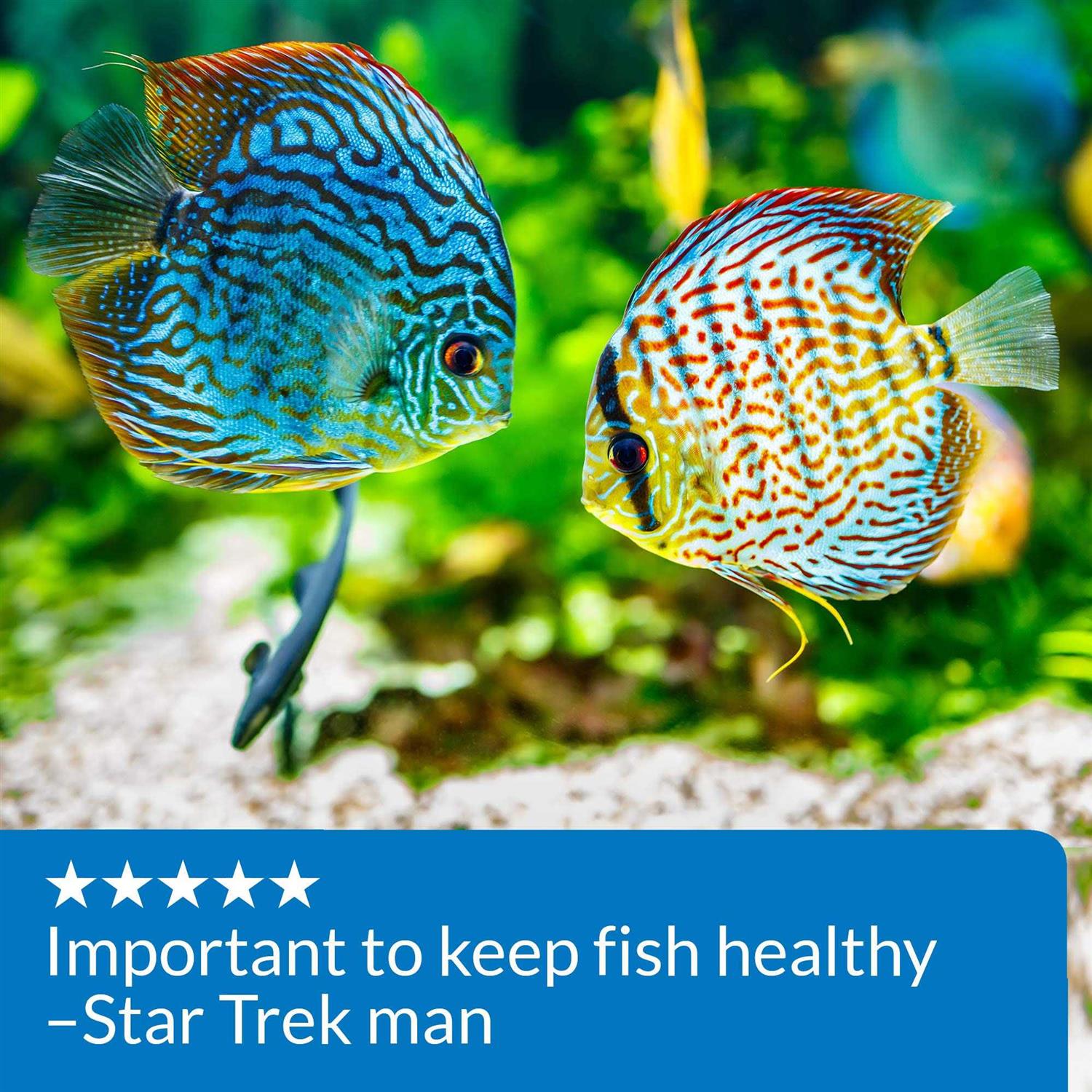 API pH Up - Pet Supplies online store