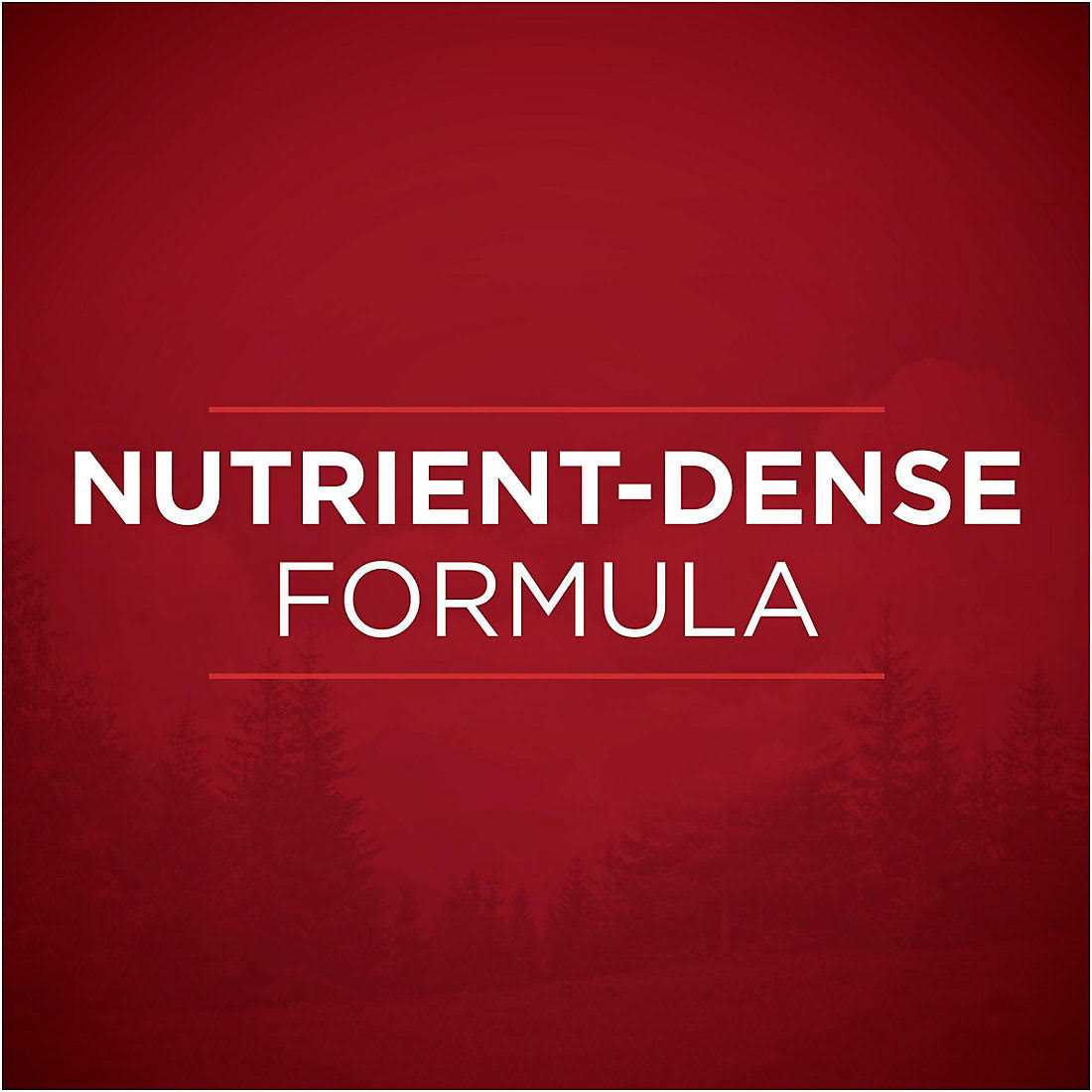 Purina ONE Natural Gravy Wet Dog Food Variety Pack SmartBlend True Instinct Tender Cuts - Pet Supplies online store