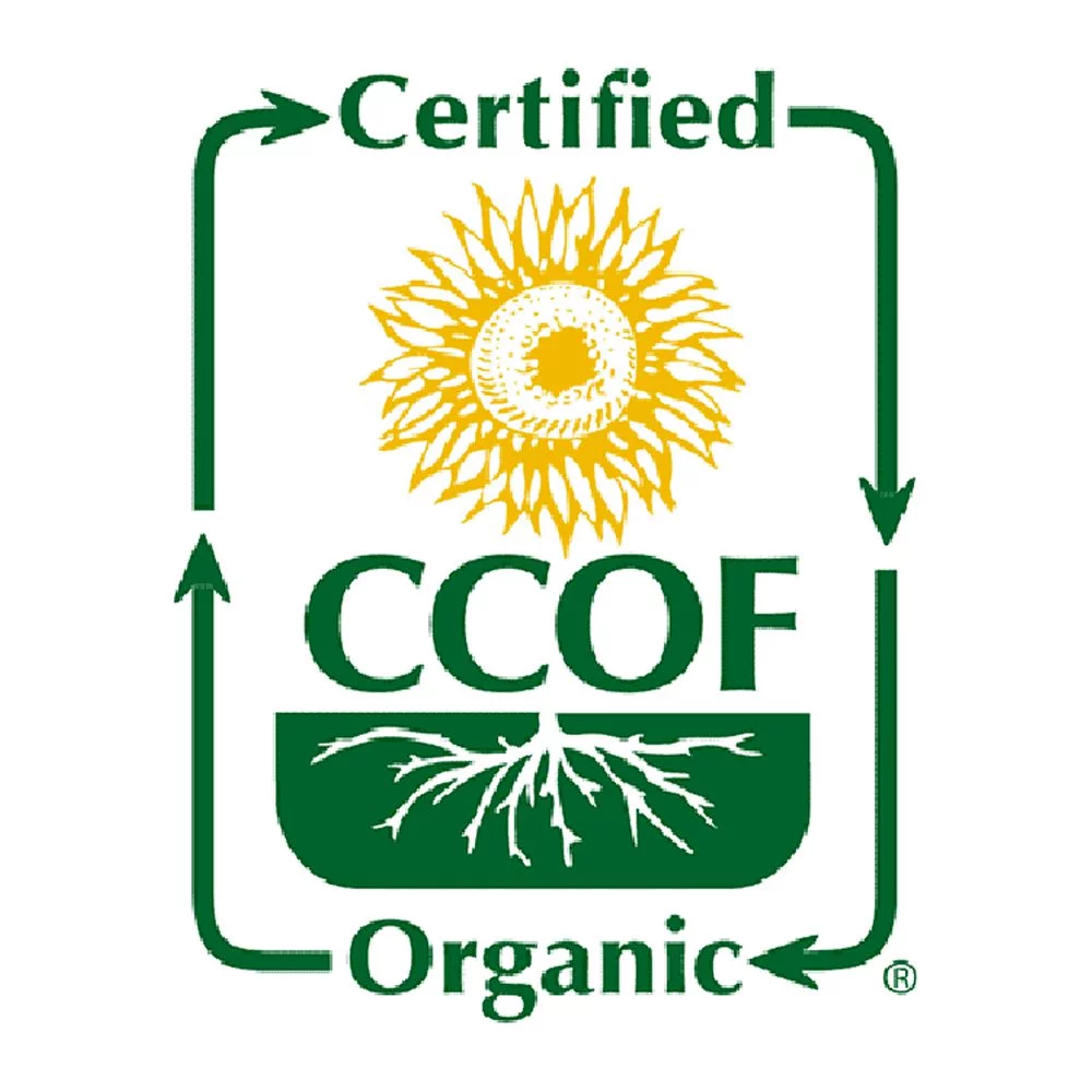 McCabe Organic Whole Oats Groats - Whole Grain Oats | Organic Raw Oats Groats | USDA and CCOF Certified | Product of USA | 2 Lbs