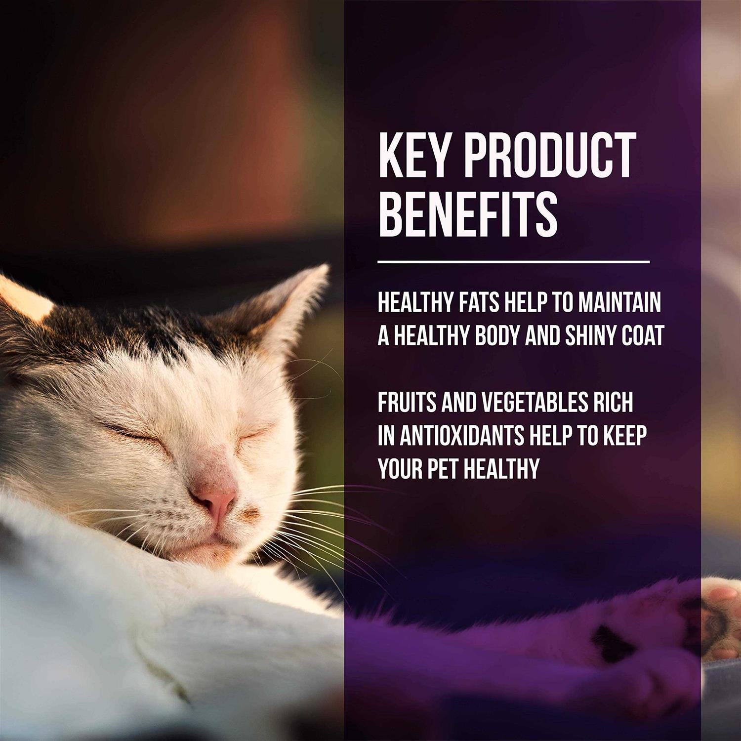 Fussie Cat Market Fresh Quail & Duck Meal Dry Cat Food - Pet Supplies online store