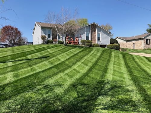 Lesco Tall Fescue Select Blend Grass Seed - 50lbs. Blue Tag Certified - Weed Free