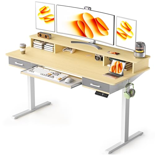 48x24 Inches Electric Standing Desk with 2 Drawers, Height Adjustable Stand up Desk for Home Office, Ergonomic Sit to Stand Table with Storage Shelf, DIY Board, Hooks, Oak