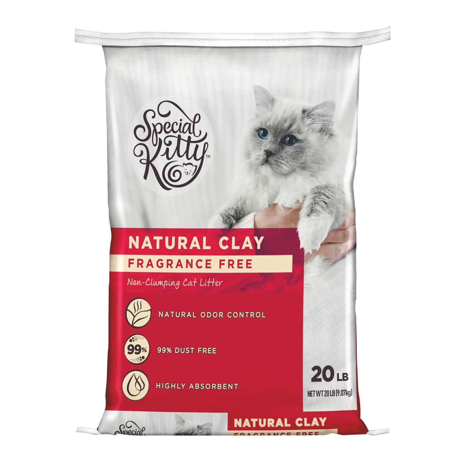 Special Kitty Unscented Non-Clumping Natural Clay Litter - Pet Supplies online store