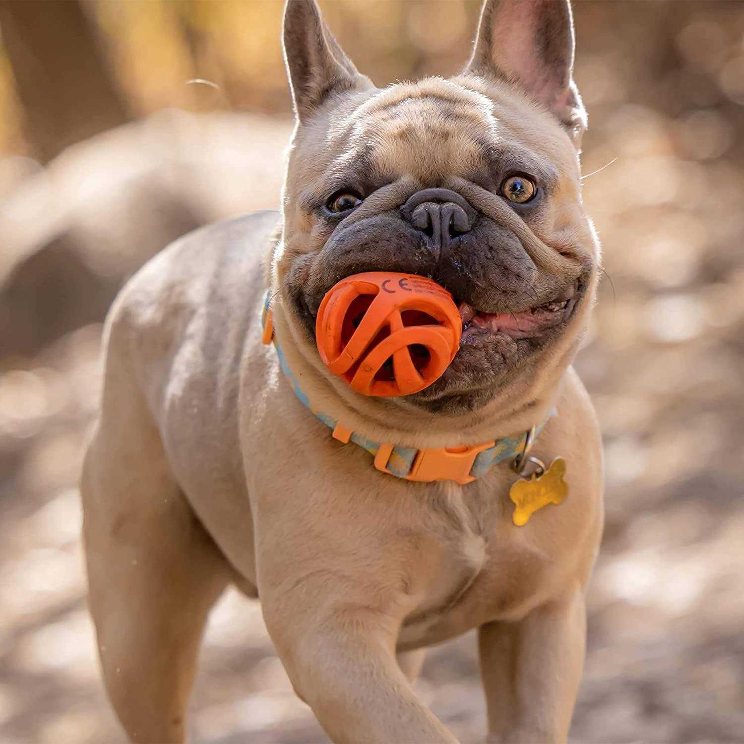 Chuckit! Breathe Right Fetch Ball - Pet Supplies online store