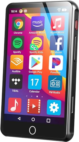 80GB MP3 Player with Bluetooth and WiFi,MP4 Player,Android 8.1 installable Software,4-inch Touch Screen,HiFi Music Player with Speaker(Matte Black)