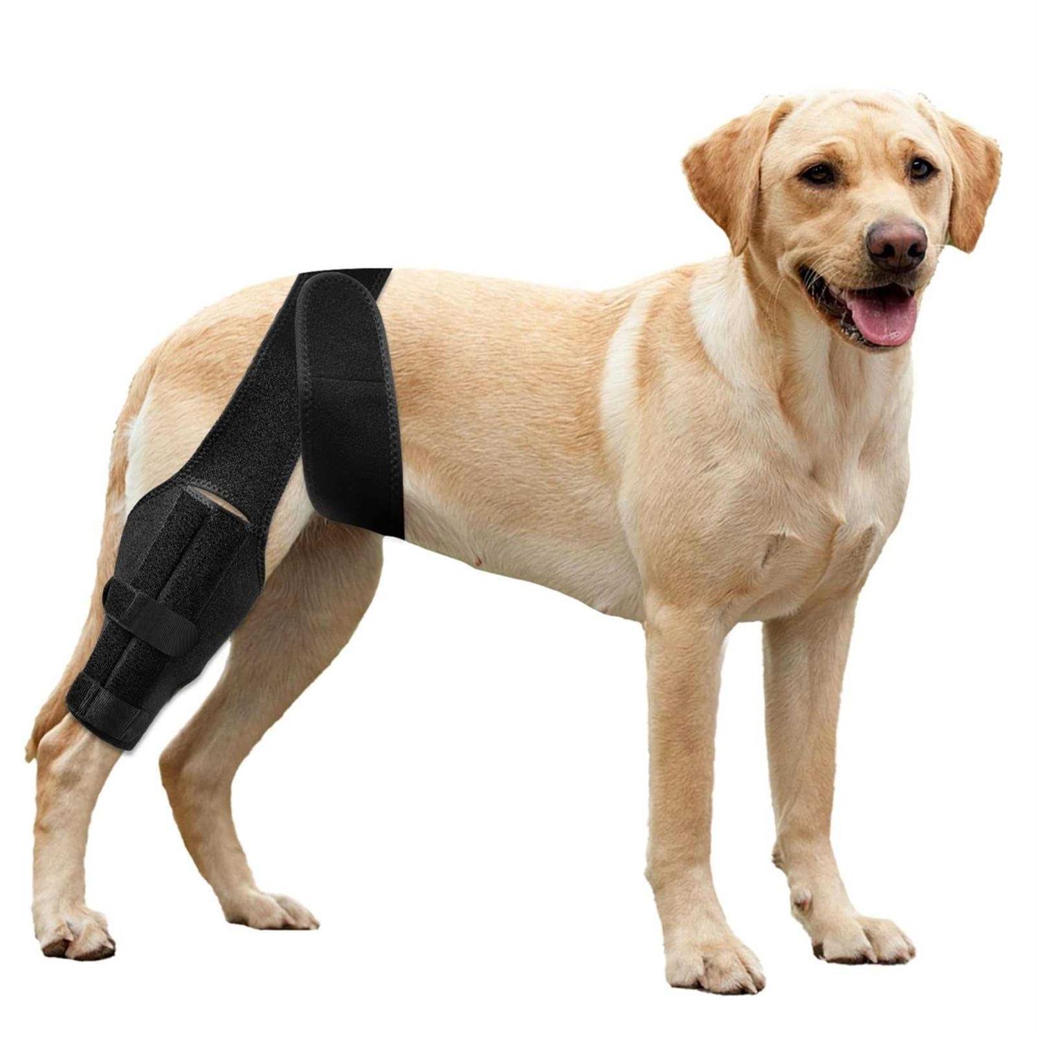 soundfuse Dog Knee Brace, Leg Brace for ACL with Cruciate Ligament Injury, Joint Pain and Muscle Sore - Pet Supplies online store
