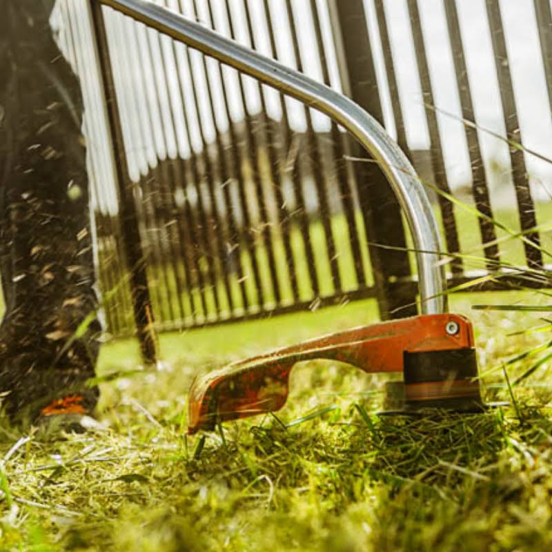 Stihl FS 50 C-E 16.5 in. GAS String Trimmer